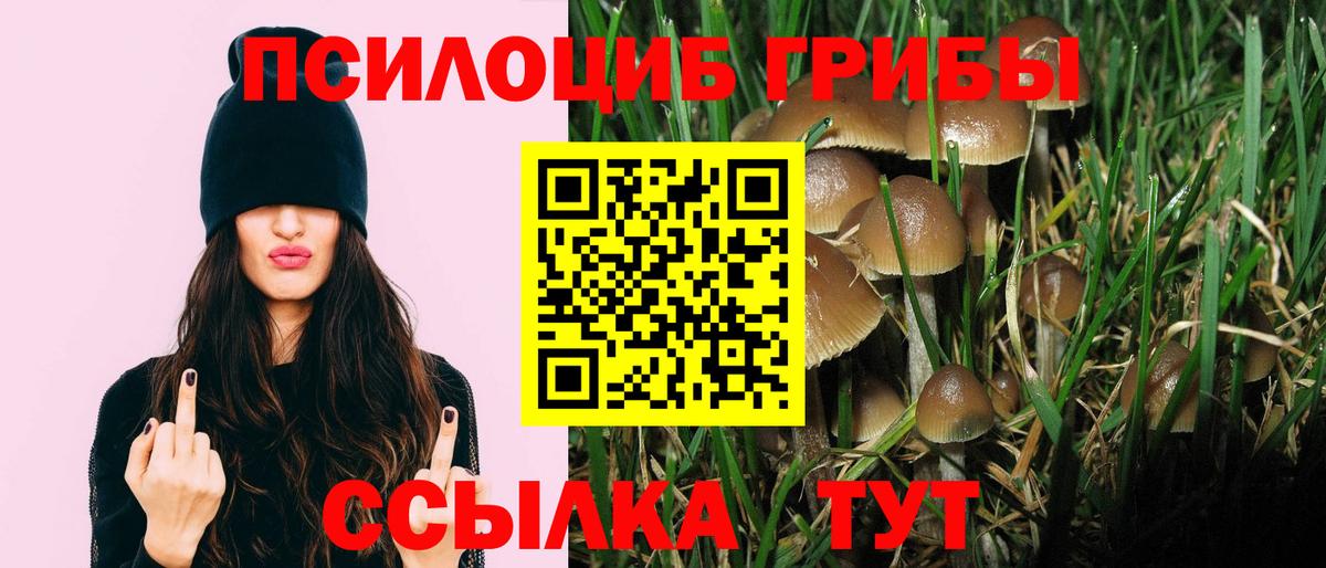Галлюциногенные грибы MAGIC MUSHROOMS Нарткала