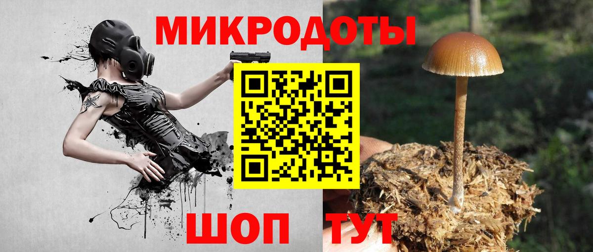 Псилоцибиновые грибы Psilocybine cubensis  где можно купить наркотик  Нарткала  Вход с VPN 